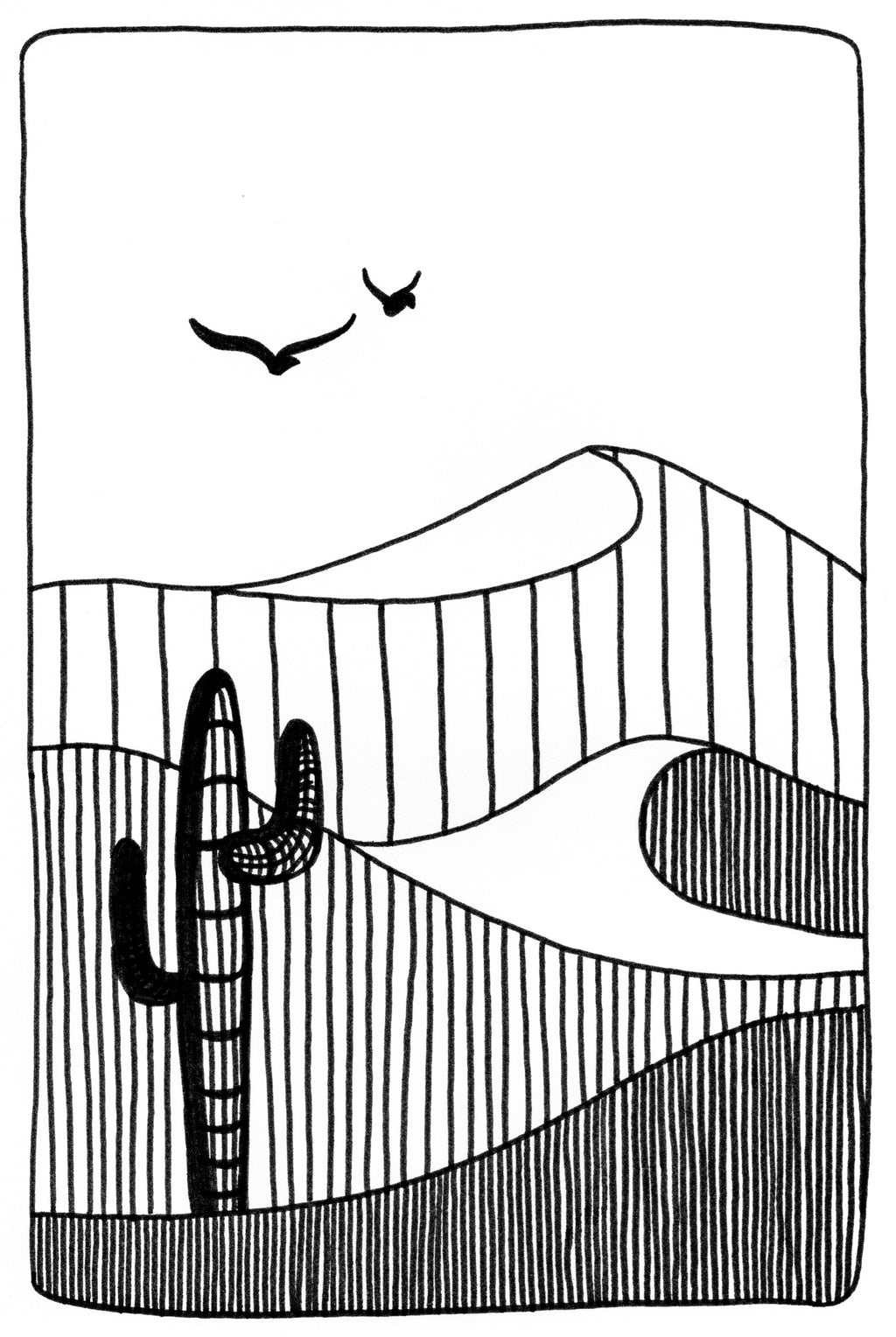 Dunes et cactus