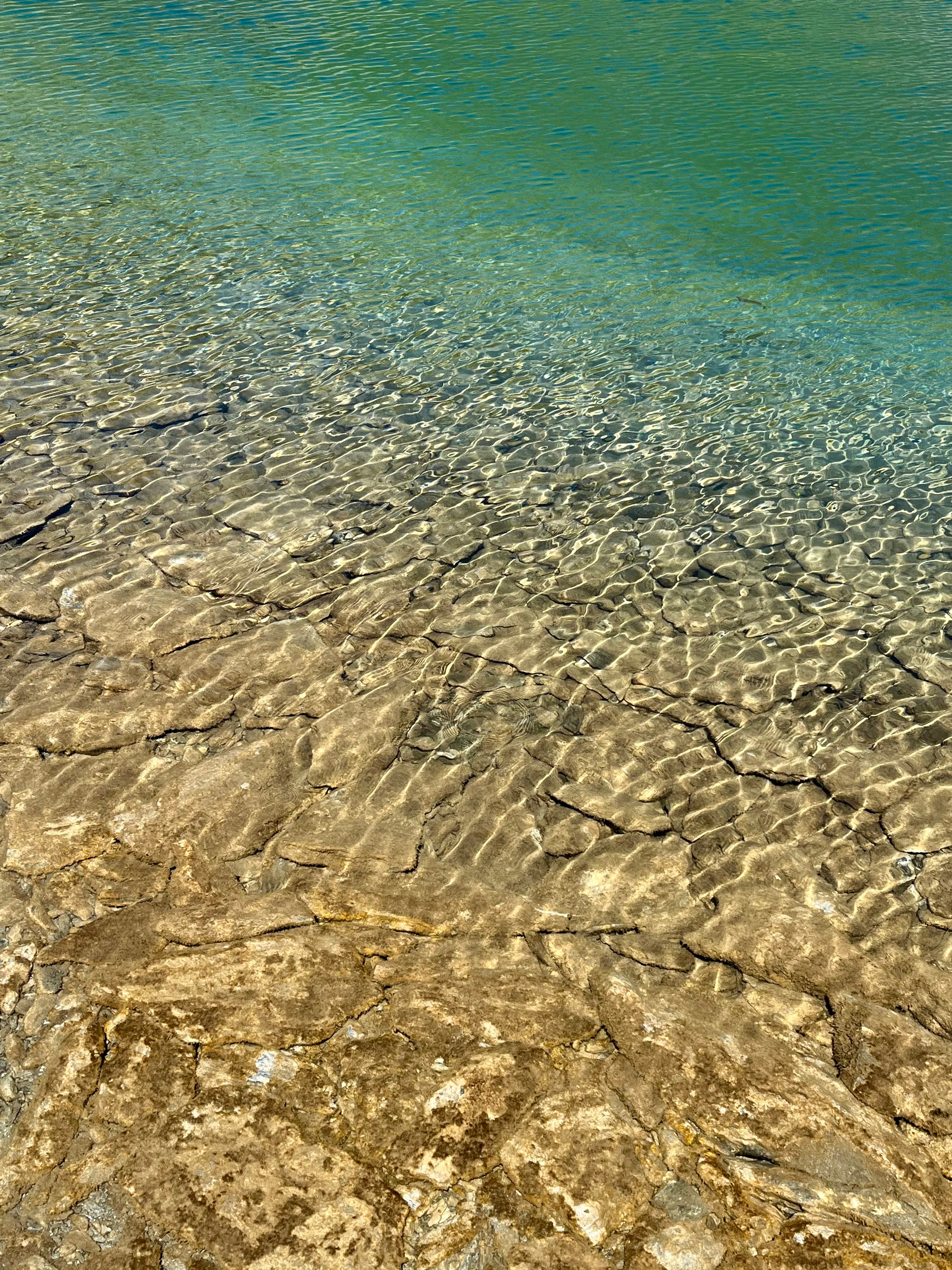 L’écume des jours